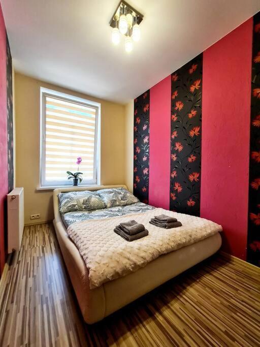 Mikolajki Apartament Miedzy Mostami Exteriér fotografie